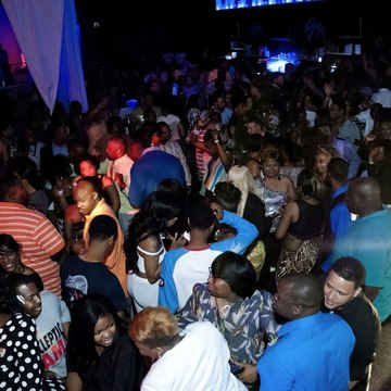 Don Cortex OrganoGold