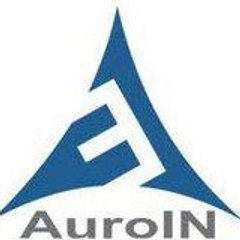 Auroin Seo