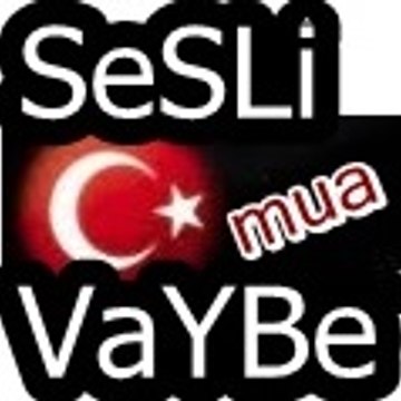 SesliVaybeeeeeeeeeee