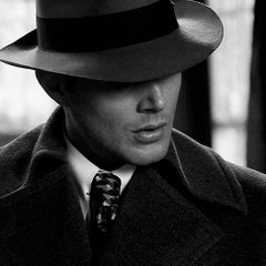 theprofessionalfanwarrior