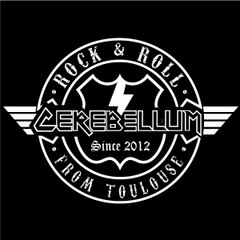 Cerebellum
