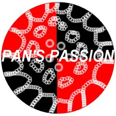 Pan's Passion Steelband