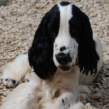 des_brumes_d_alkalilake