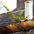 gutter-cleaning