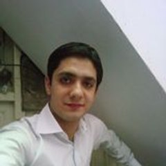 Muhammad Husnain Raza