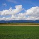Heidiland