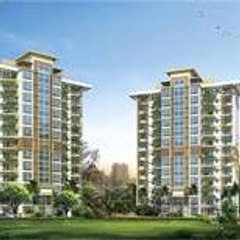 Property Option
