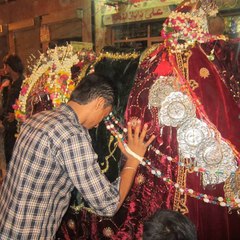Syed Muzamil Ali Shah