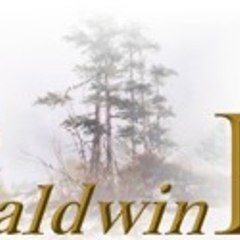 Baldwinpines