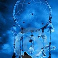 Littlecrazywolf Spirit