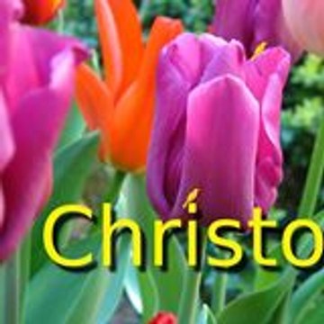 Deschryver Christoph