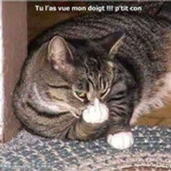 Gilles Treguier