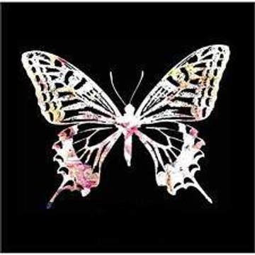 LittlexButterflyxXxX