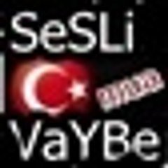 istanbulsesli