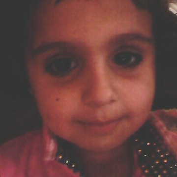 شوکت نوید
