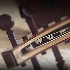 ارتجافات السعف