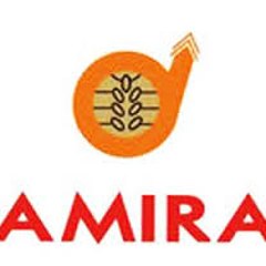 amira basmati