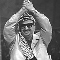 Muhamed Alshamali