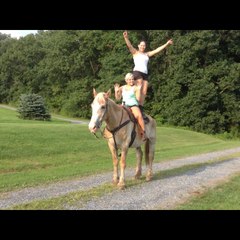 horsesdeserveasecondchance