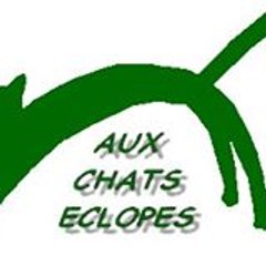 Les-Chats Éclopés