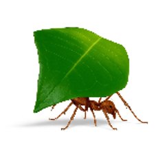 Muavin Arts & Entertainment