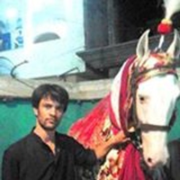 Agha Jani