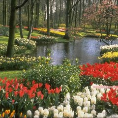 SesliTutkunum-Sohbet