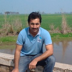 Usman Bajwa