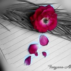Colours of Life