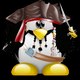 Piratebobfu