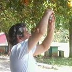 Paulo guita