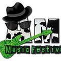 Amf MusicFestival