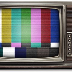 netTVMS1