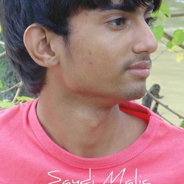 Saydi Malic