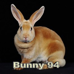 Bunny94