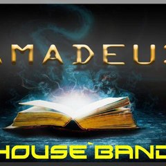 Amadeus House Band