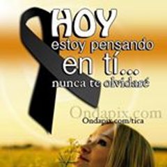 Sharon Correa