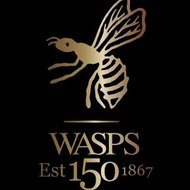 Wasps