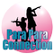 ParaParaConnection