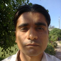 lateef chohan6364