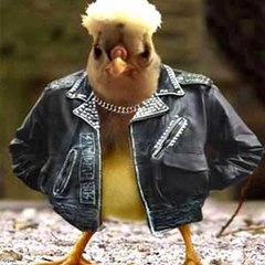 xenpe pedrominator