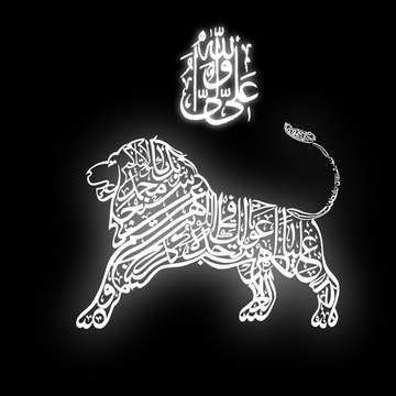 Zulqarnain118
