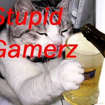 Stupid Gamerz