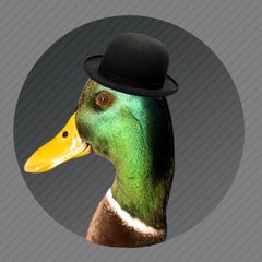 SittingDuck