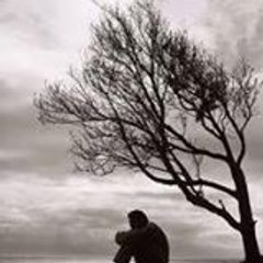 Adeel Aslam