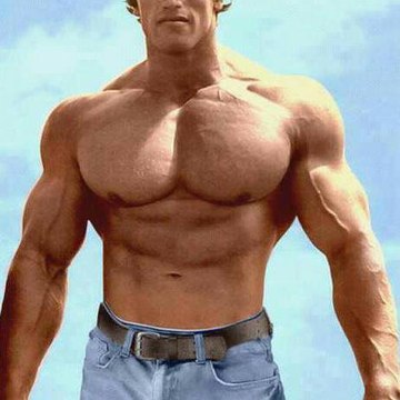 BODY BUILDERS