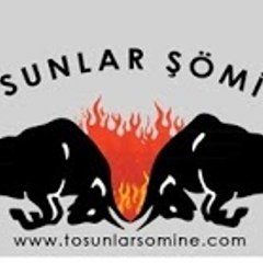 Tosunlar Şömine