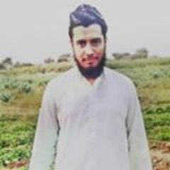 Siraj Munir