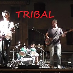 Tribal Groupe