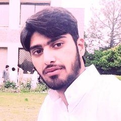 Hassan Abid
